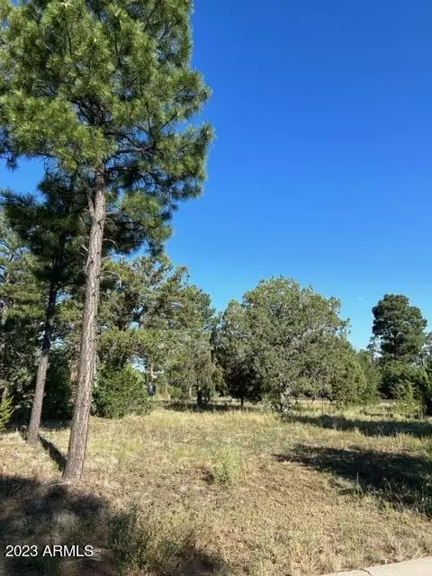 600 S Reynolds Ln #51PER, Show Low, AZ 85901