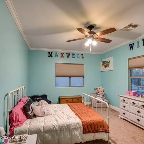 2970 E Packard Dr, Gilbert, AZ 85298 photo 43