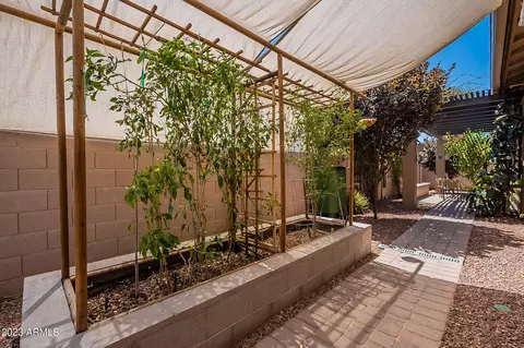 874 E Holbrook St, Gilbert, AZ 85298 photo 67