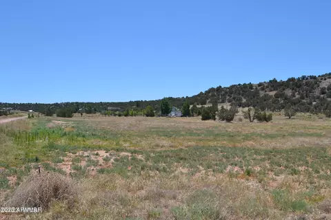 tbd cedar hollow lane, Taylor, AZ 85939