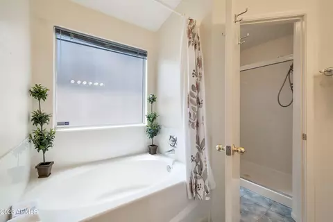 4609 E Charleston Ave, Phoenix, AZ 85032 photo 13