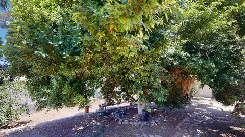 619 N Cortez Rd, Apache Junction, AZ 85119 photo 66