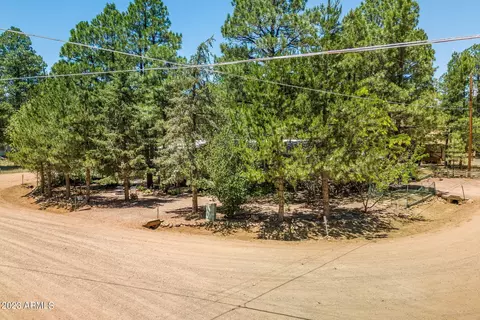 2028 Wilderness Dr, Overgaard, AZ 85933 photo 28