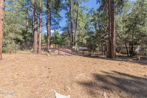 4346 N Mistletoe Dr, Pine, AZ 85544 photo 43