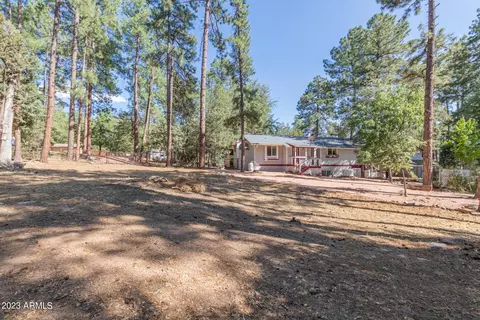 4346 N Mistletoe Dr, Pine, AZ 85544 photo 42