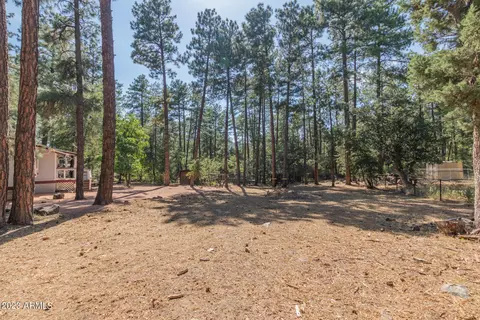 4346 N Mistletoe Dr, Pine, AZ 85544 photo 39