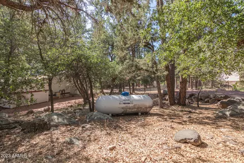 4346 N Mistletoe Dr, Pine, AZ 85544 photo 44