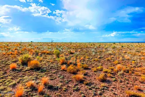 87 E Pine Rd #606, Williams, AZ 86046 photo 4