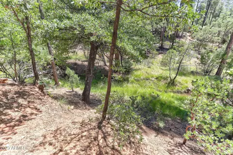 lot16 Strawberry Holw #16, Pine, AZ 85544 photo 4