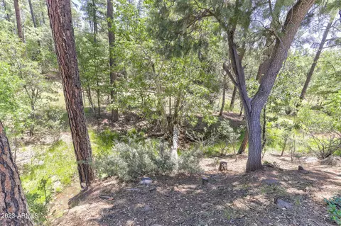 lot16 Strawberry Holw #16, Pine, AZ 85544 photo 3