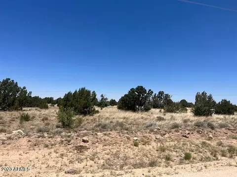 tbd Windsor Valley Ranch Dr #108, Concho, AZ 85924