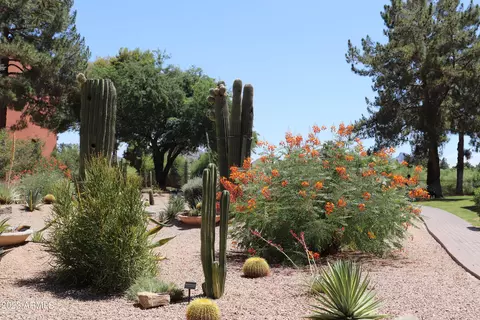 4303 E Cactus Rd #433, Phoenix, AZ 85032 photo 41