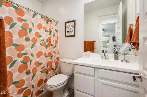 1325 E Irwin Ave, Phoenix, AZ 85042 photo 28