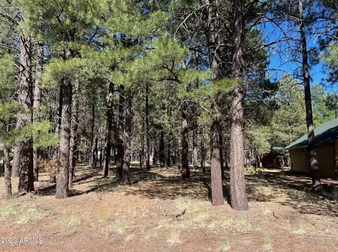 1675 N Fleet Deer Dr #33, Parks, AZ 86018