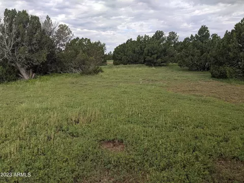 1927 Creekside Cir #092, Show Low, AZ 85901