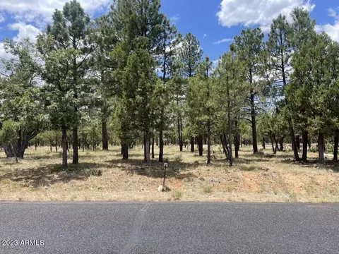 2656 Deer Path #189, Happy Jack, AZ 86024