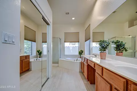 1241 W Bruce Ave, Gilbert, AZ 85233 photo 26