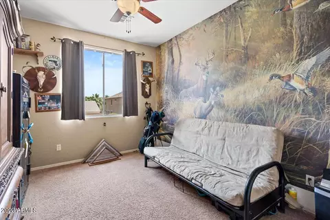 10322 E Irwin Ave, Mesa, AZ 85209 photo 21