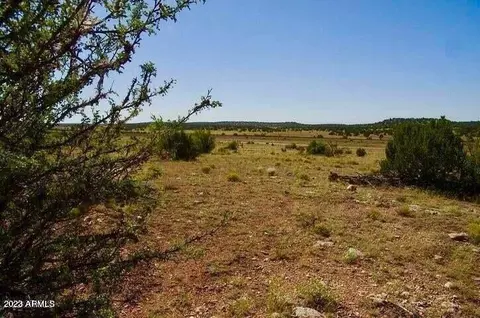 tbd Antelope Dr Lot B1 10 Acres -- #D, Seligman, AZ 86337