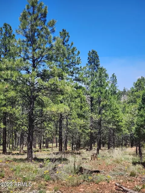 4975 Morning View Dr #2, Happy Jack, AZ 86024