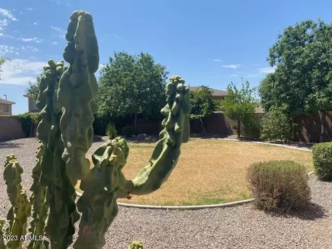2939 E Mead Dr, Gilbert, AZ 85298 photo 19