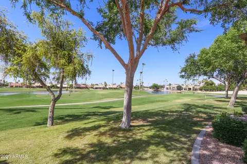 9602 E Arrowvale Dr, Sun Lakes, AZ 85248