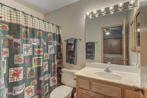5148 Naco Dr, Pine, AZ 85544 photo 16