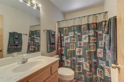 5148 Naco Dr, Pine, AZ 85544 photo 18