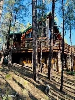 4238 Apache Dr, Happy Jack, AZ 86024 photo 3