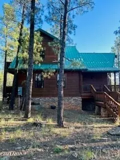 4238 Apache Dr, Happy Jack, AZ 86024 photo 6