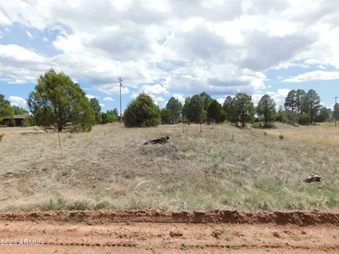2267 Page Dr #129, Overgaard, AZ 85933
