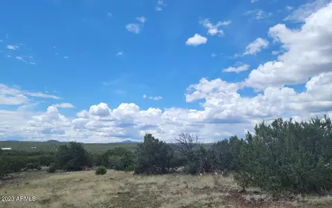 107 County Rd N8333 -- #-, Vernon, AZ 85940