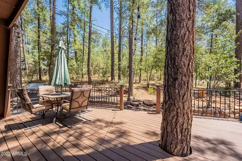 5246 N Duncan Dr, Pine, AZ 85544 photo 21