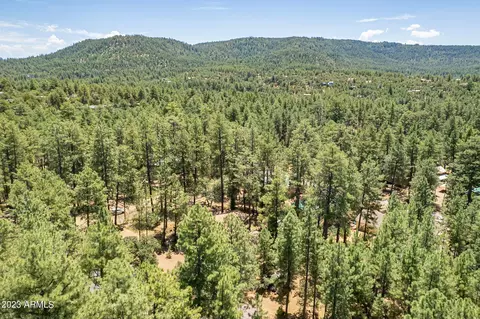 5246 N Duncan Dr, Pine, AZ 85544 photo 34