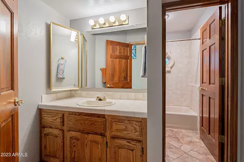 3346 E Downing St, Mesa, AZ 85213 photo 24