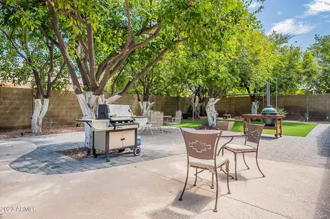 3346 E Downing St, Mesa, AZ 85213 photo 47