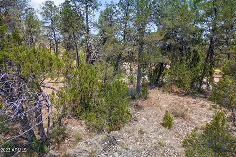 3127 Ranch Rd #178, Overgaard, AZ 85933 photo 5