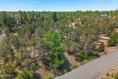 3127 Ranch Rd #178, Overgaard, AZ 85933 photo 3