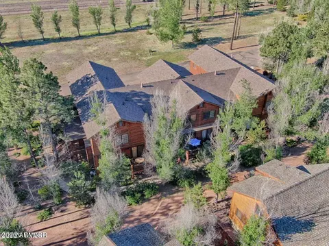 2272 Overgaard Springs Loop, Overgaard, AZ 85933 photo 18
