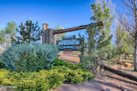 2272 Overgaard Springs Loop, Overgaard, AZ 85933 photo 17