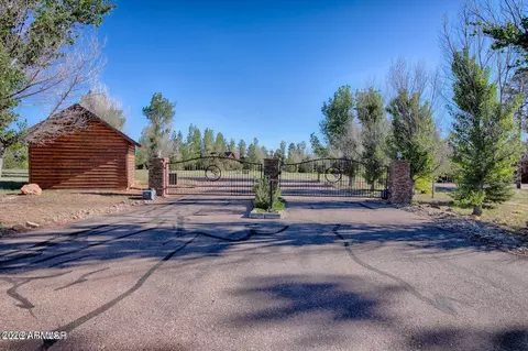 2272 Overgaard Springs Loop, Overgaard, AZ 85933 photo 19