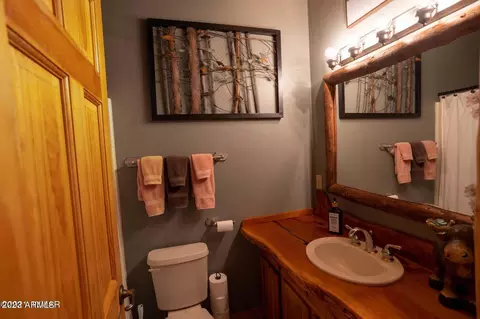 2272 Overgaard Springs Loop, Overgaard, AZ 85933 photo 10