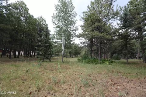 1958 Ferret Cir #260, Forest Lakes, AZ 85931