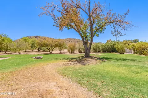 13208 N 3rd Pl, Phoenix, AZ 85022 photo 2