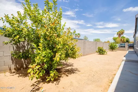 46 N 87th St, Mesa, AZ 85207 photo 30