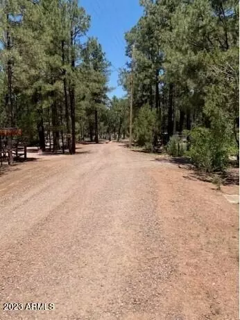 2857 Angel Rd, Overgaard, AZ 85933 photo 21