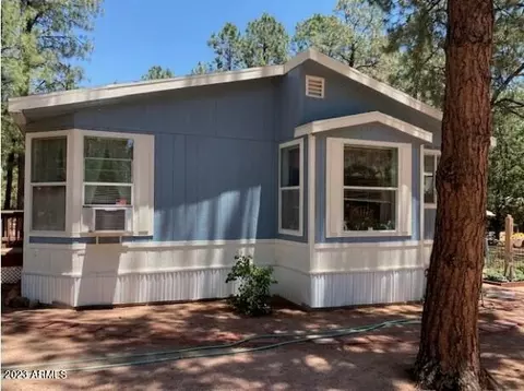 2857 Angel Rd, Overgaard, AZ 85933 photo 3