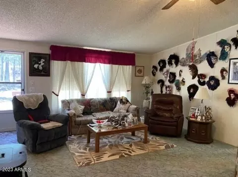 2857 Angel Rd, Overgaard, AZ 85933 photo 14