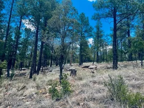 3626 Starlight Dr #348, Happy Jack, AZ 86024