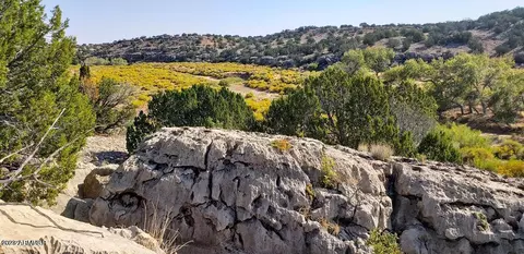 1879 Twin Tanks Rd #011, Heber, AZ 85928